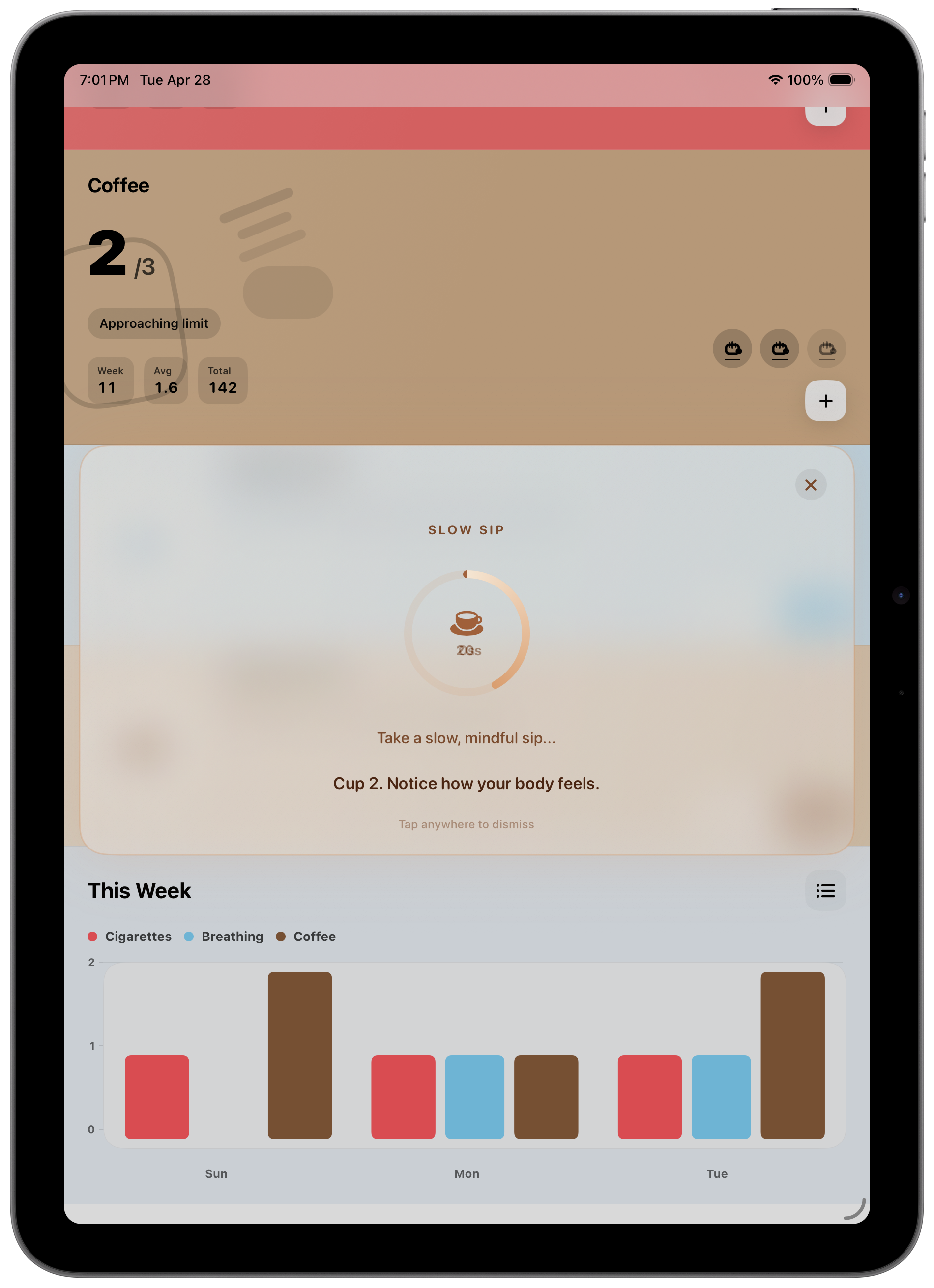 iPad Stats View
